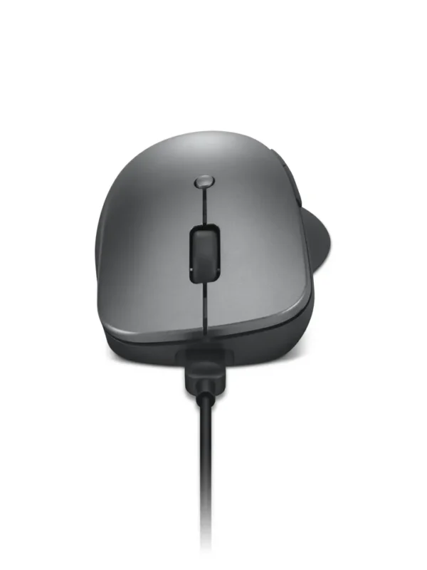 LENOVO Professional Bluetooth Rechargeable Mouse belaidė pelė (4Y51J62544)