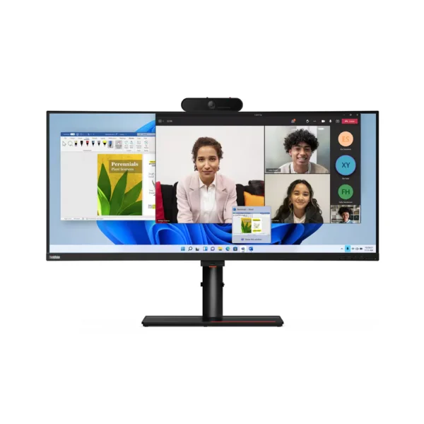 LENOVO ThinkVision P40w-20 (62C1GAT6EU)
