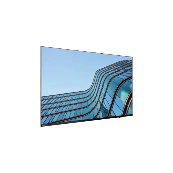LENOVO ThinkVision E55 LFD (64A9GAT1EK)