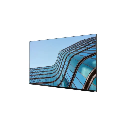 LENOVO ThinkVision E55 LFD (64A9GAT1EK)